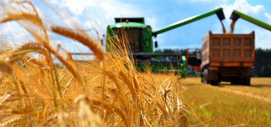 An external analysis of corruption risks in the activities of committees of State Inspection in the Agroindustrial complex, for Veterinary Control and Supervision of the Ministry of agriculture of the Republic of Kazakhstan