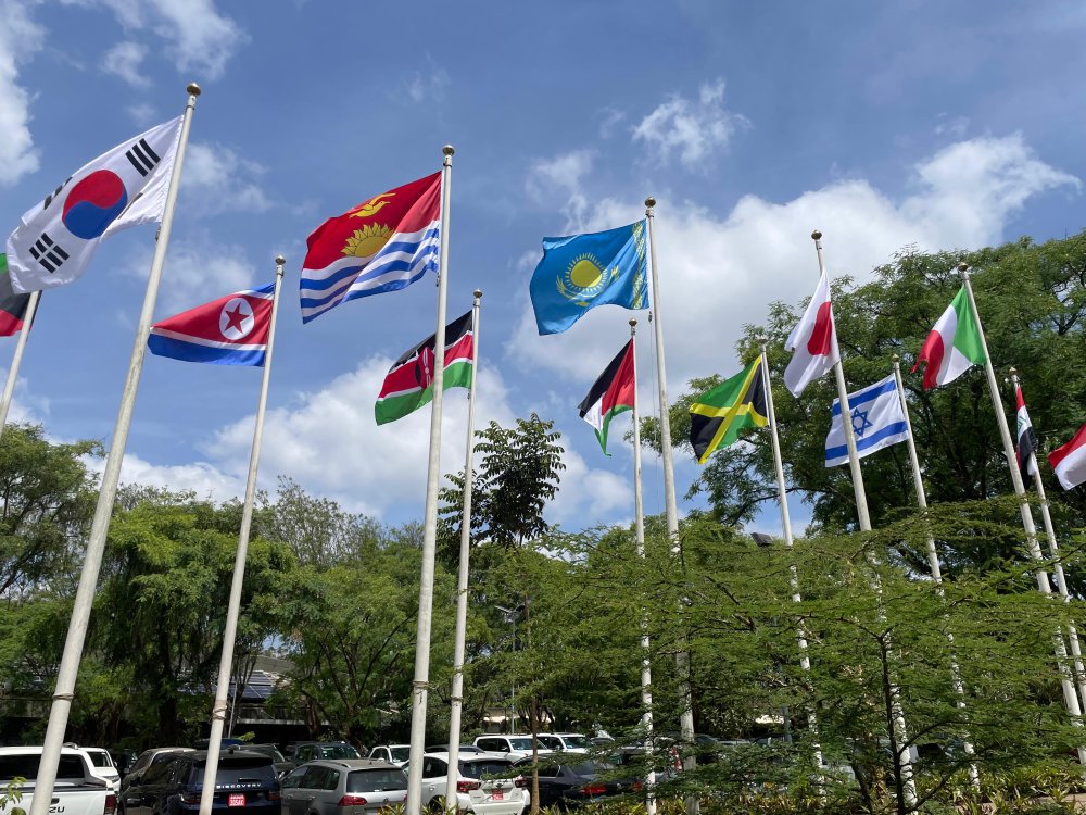 Kazakhstan Presents Environmental Initiatives at the 13th Annual Subcommittee Meeting of the Committee of Permanent Representatives to the UN Environment Programme (UNEP)