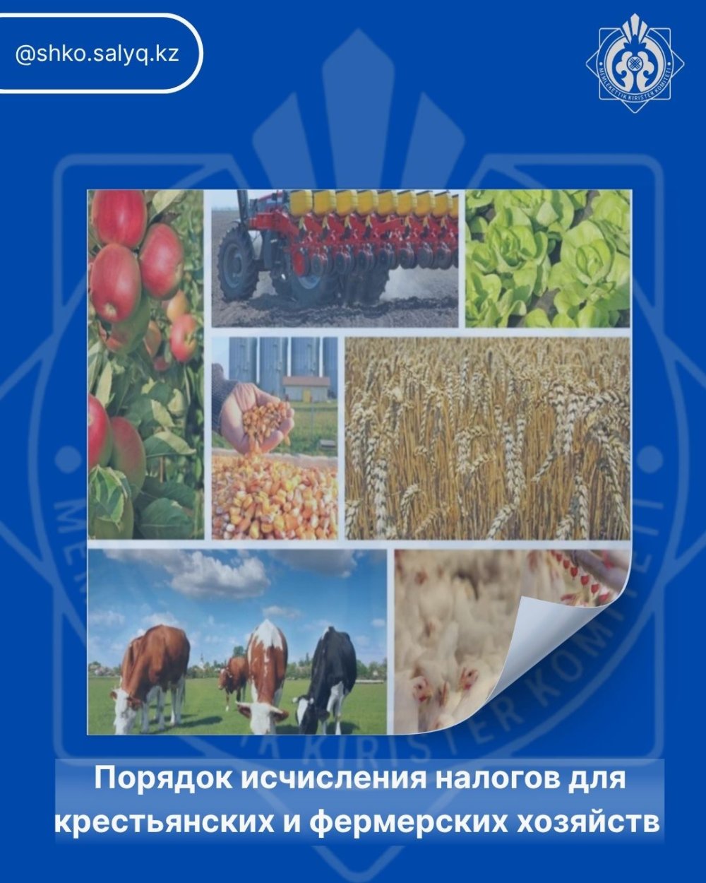 Procedure for Tax Calculation for Peasant and Farm Enterprises