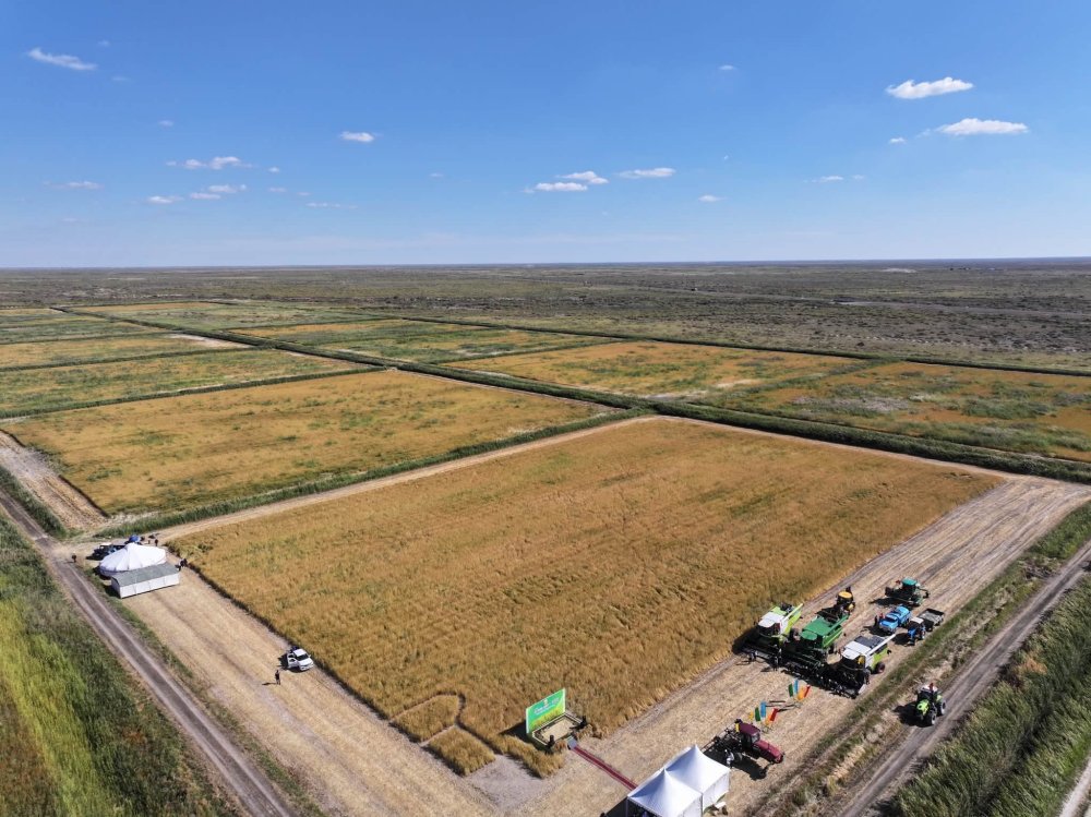 “First Harvest — 2026”: The Beginning of Hard Work and Abundance