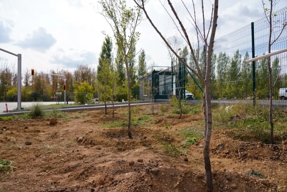 More Than 70 Trees Planted in Astana’s Industrial Park No. 1