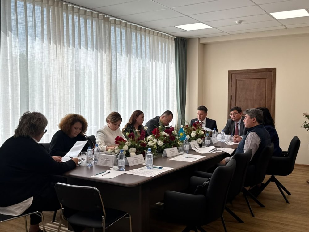 Interagency Working Group Meeting Held at the Almaty State Revenue Department