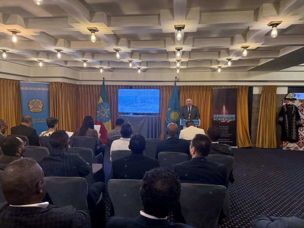 Potential for Developing Cooperation in Tourism and Transport Logistics Between Kazakhstan and Ethiopia Discussed in Addis Ababa