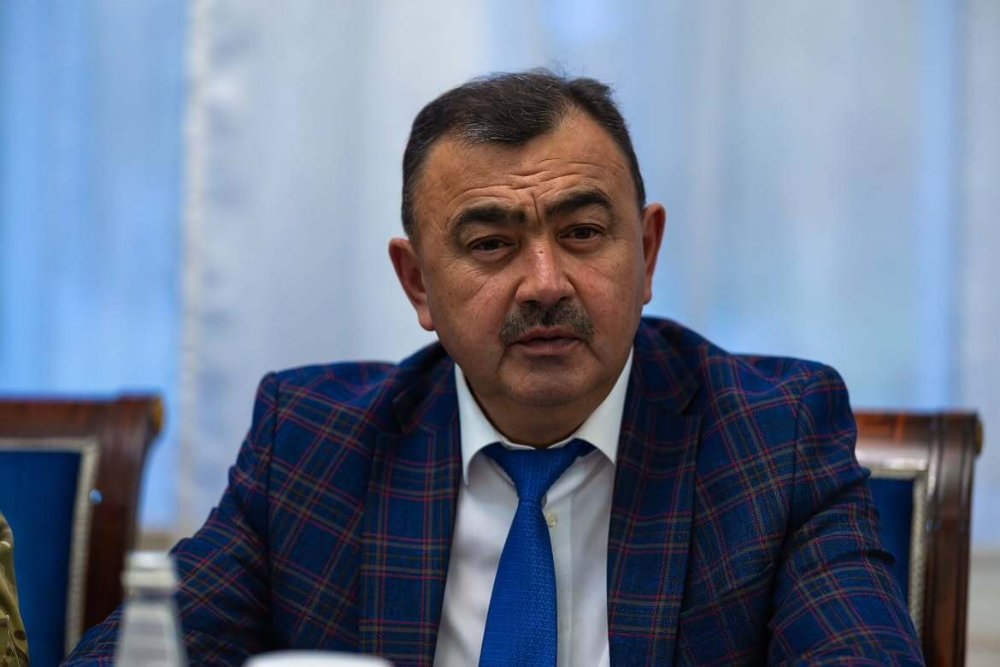 East Kazakhstan and India Discuss Prospects for Cooperation in Tourism and Investment — Photo 7