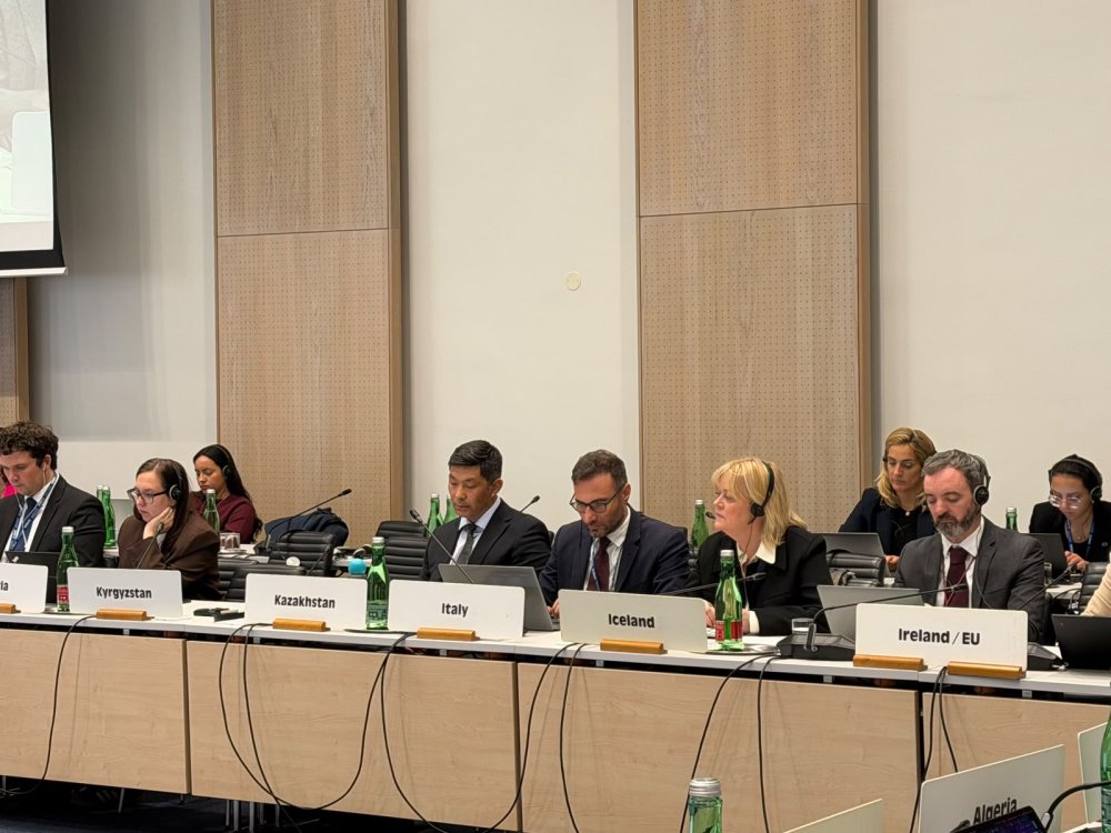 Kazakhstan Voices Support for the International Committee of the Red Cross — Photo 2