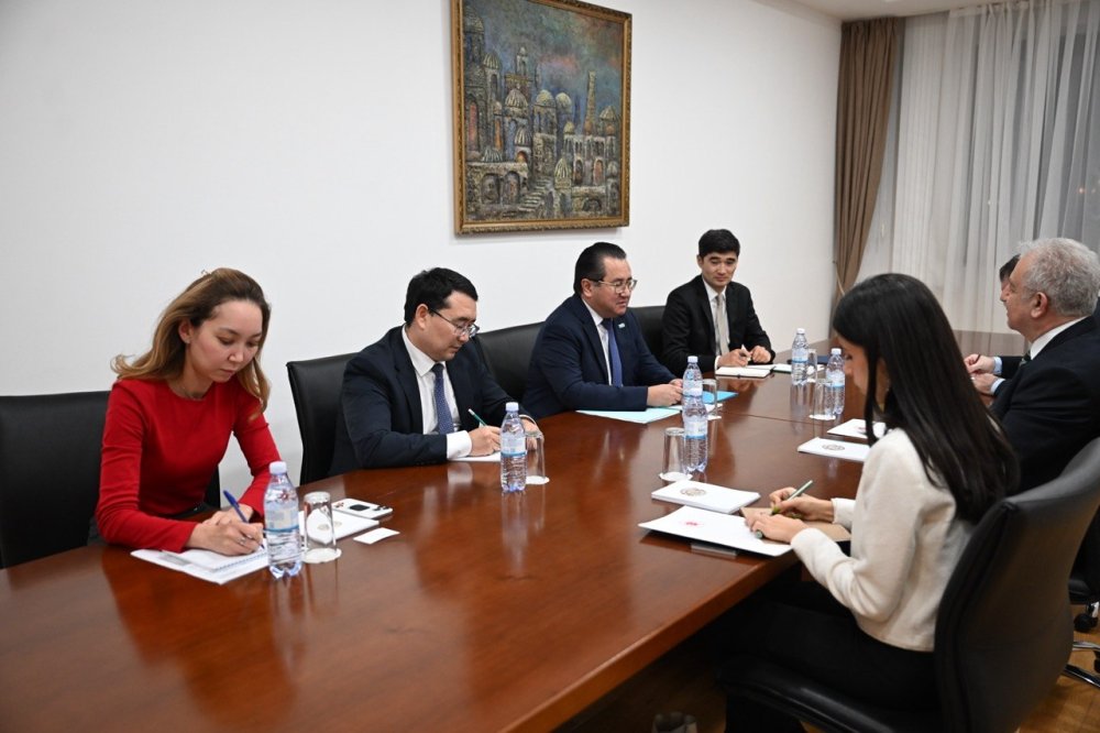Deputy Minister of Foreign Affairs of Kazakhstan Arman Issagaliyev meets with Ambassador of the Republic of Türkiye — Photo 2