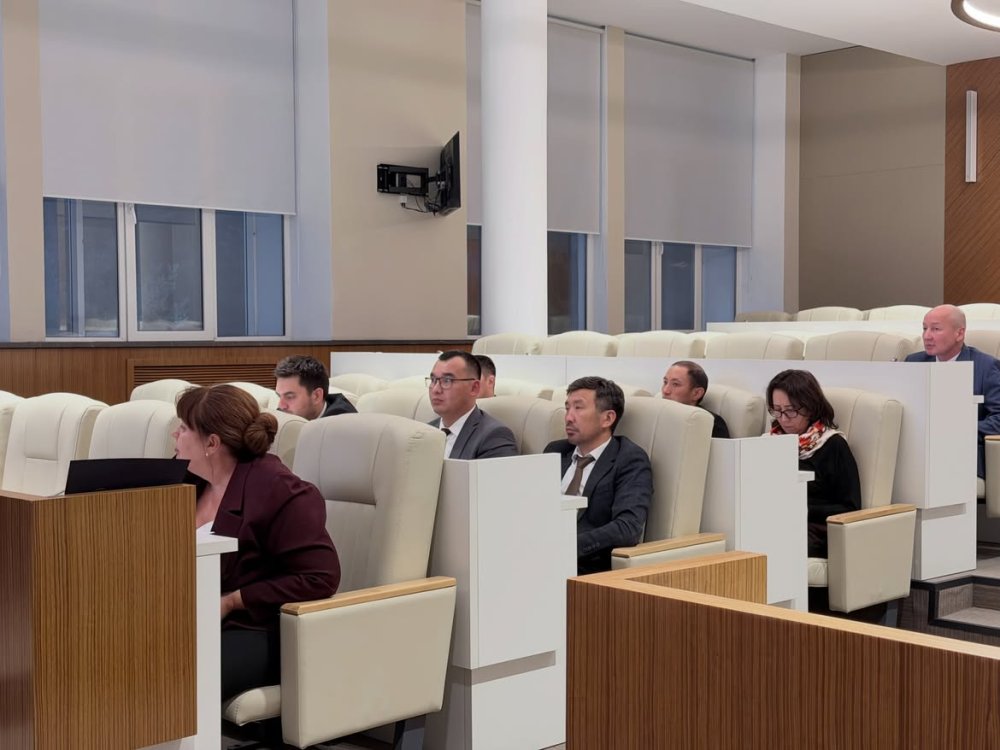 9 Investment Projects Worth KZT 115 Billion Reviewed in East Kazakhstan Region — Photo 2