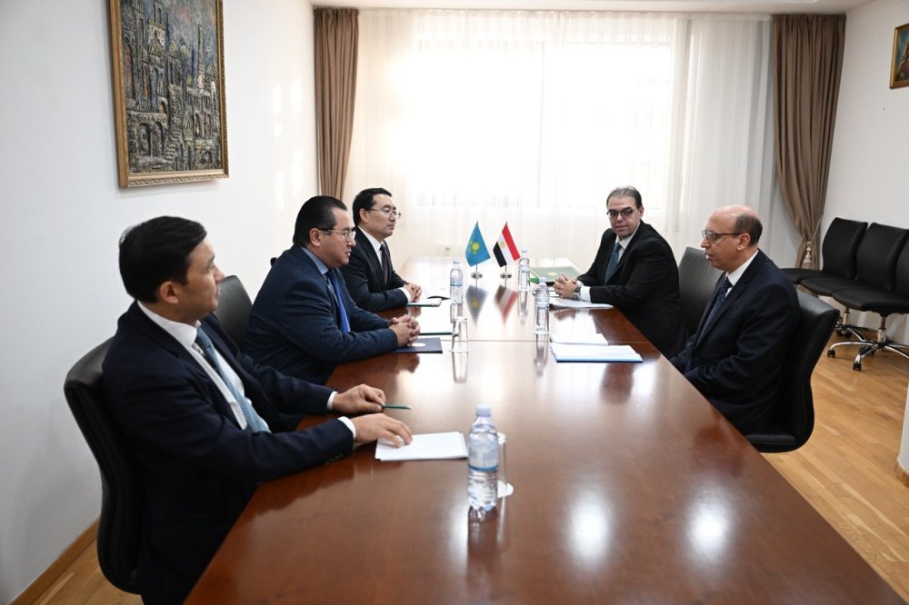 Kazakhstan’s Deputy Foreign Minister Receives Egyptian Ambassador — Photo 2