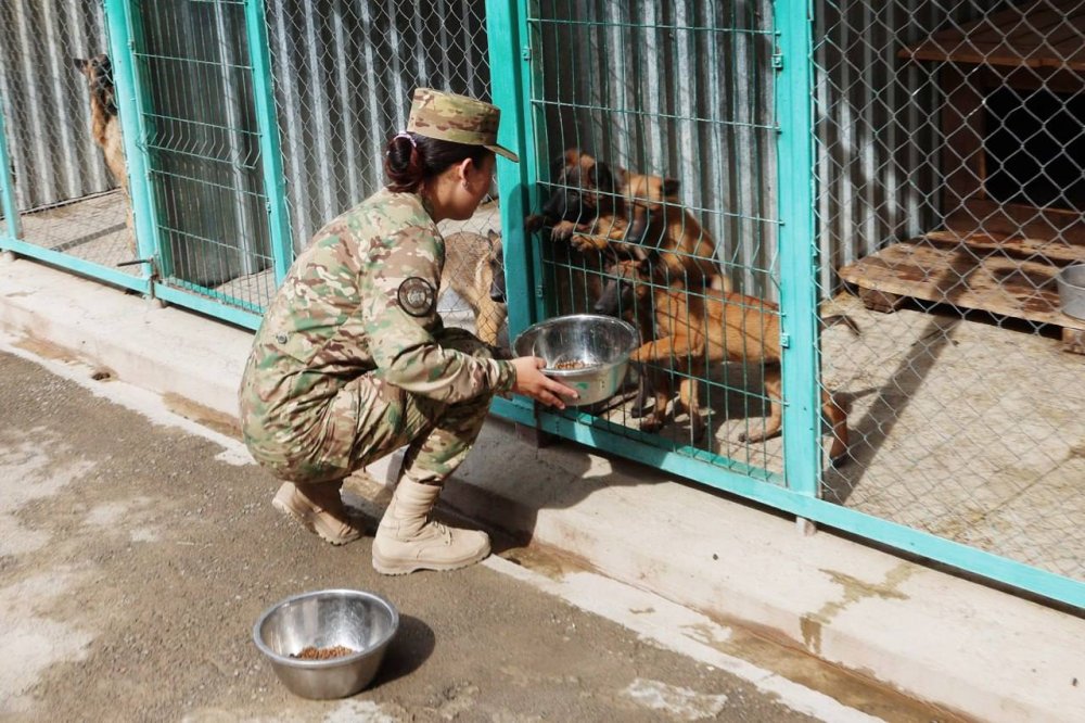 Woman Canine Handler Begins Training Dogs at National Guard Kennel for the First Time — Photo 4