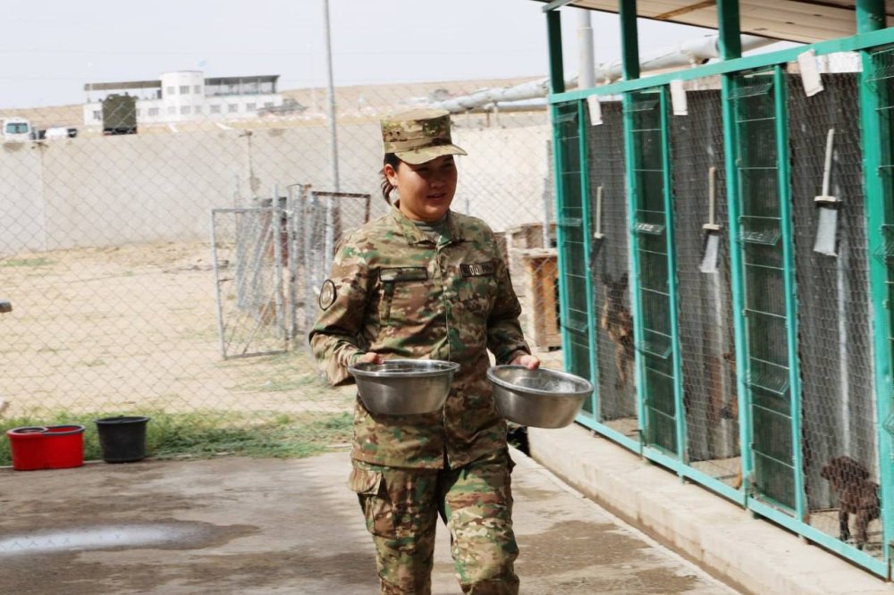 Woman Canine Handler Begins Training Dogs at National Guard Kennel for the First Time — Photo 5