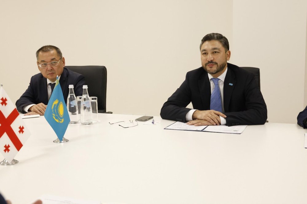 Kazakhstan and Georgia Discuss Strengthening Strategic Partnership — Photo 1