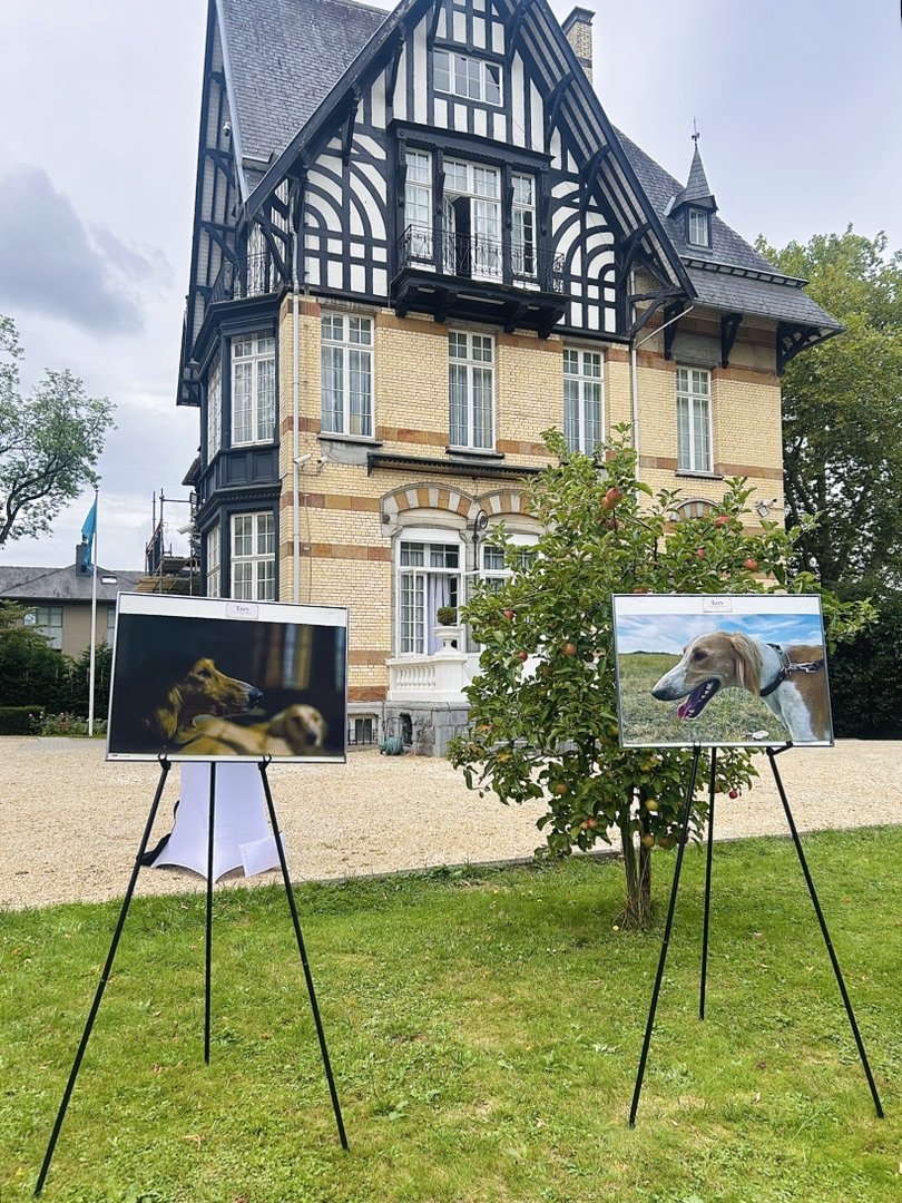 Kazakh Tazy in the Heart of Europe: Photo Exhibition Held in Brussels to Mark Tazy and Tobet Day