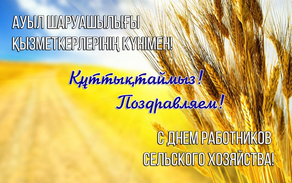 Құрметті Денисов ауданының қонақтары мен тұрғындары сіздерді ауыл шаруашылығы және қайта өңдеу өнеркәсібі қызметкерлерінің күніне арналған салтанатты іс-шараға шақырамыз