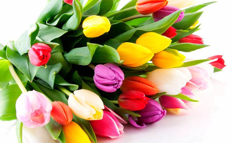 8 наурыз Халықаралық әйелдер күні
