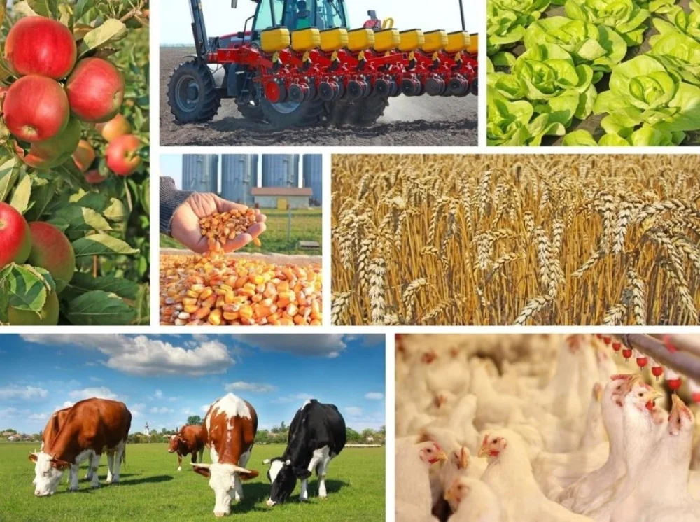Ауыл шаруашылығы өнімдерін қайта өңдеу туралы