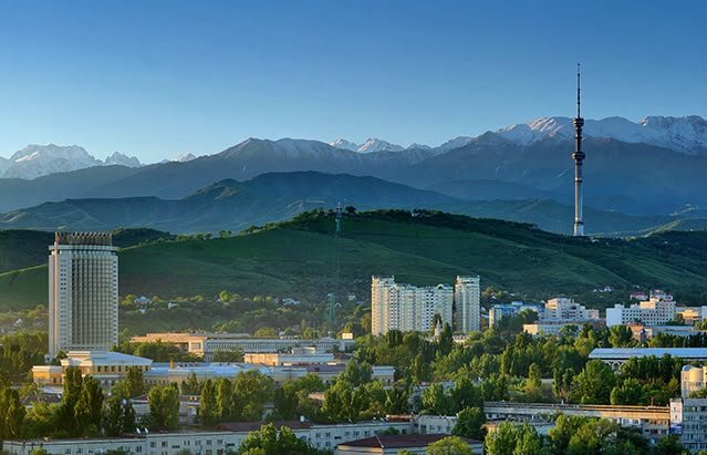 Алматыда аралас жекпе-жектен турнир өтеді