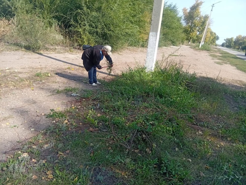 Абаттандыру