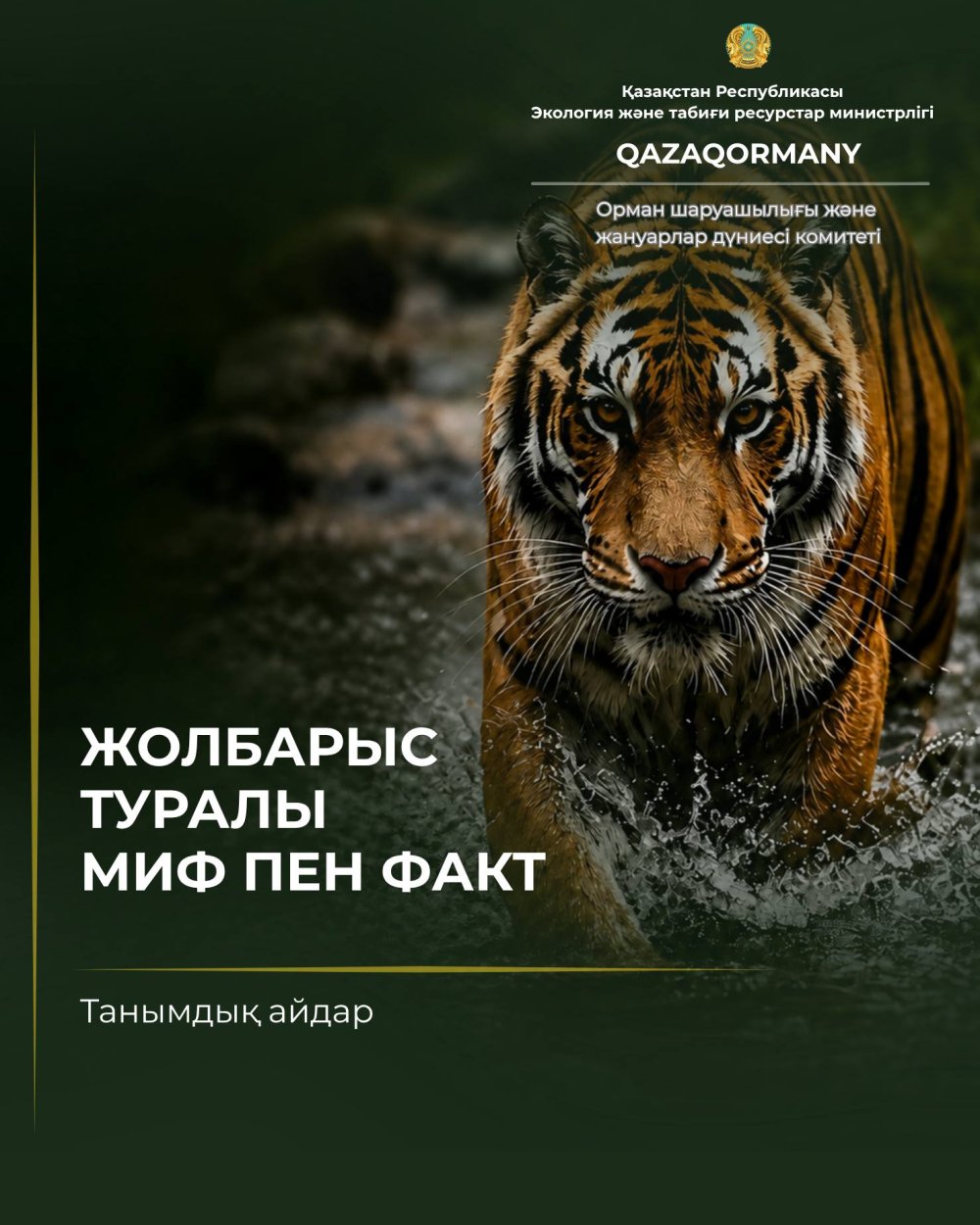 Жолбарыс туралы миф пен шындық