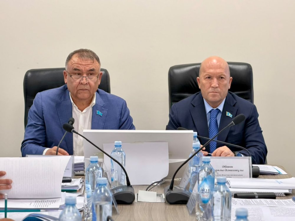 ТҰРАҚТЫ КОМИССИЯ ОТЫРЫСЫНДА МАҢЫЗДЫ МӘСЕЛЕЛЕР ҚАРАЛДЫ