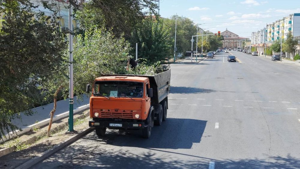 «Таза Қазақстан»: Облыс тұрғындары жалпыхалықтық сенбілікке қатысты