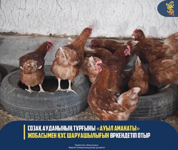 Жаңалық