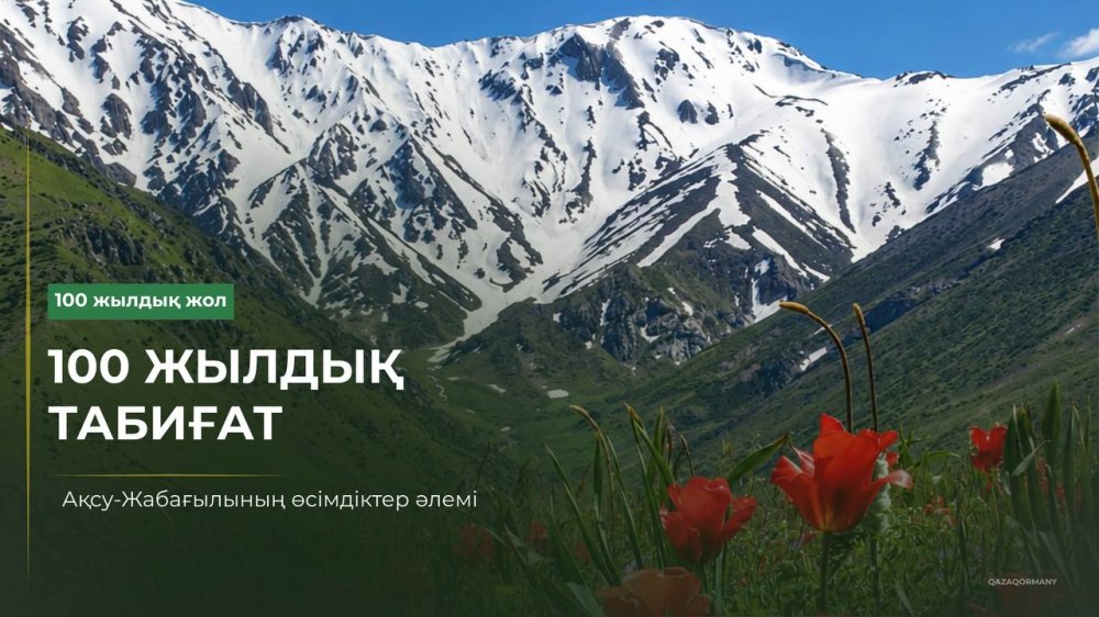 100 жылдық табиғат