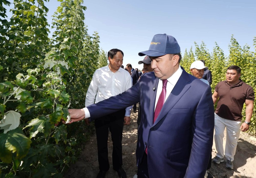 ОТЫРАР АУДАНЫНДА ЖАҢА ТӘСІЛ АРҚЫЛЫ ТҰЗДЫ ТОПЫРАҚТАҒЫ КӨШЕТТЕРДІҢ ӨНІМДІЛІГІ 90 ПАЙЫЗҒА ЖЕТТІ