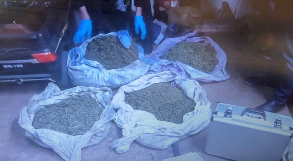 Гараж есірткі сақтайтын орынға айналған: Риддерде 6 келіге жуық марихуана тәркіленді