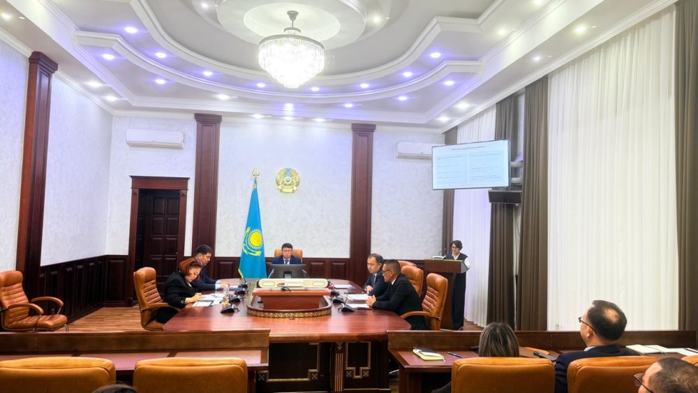 Мүгедектіктің жай - күйі және мүгедектігі бар адамдарды әлеуметтік қолдау туралы кеңес