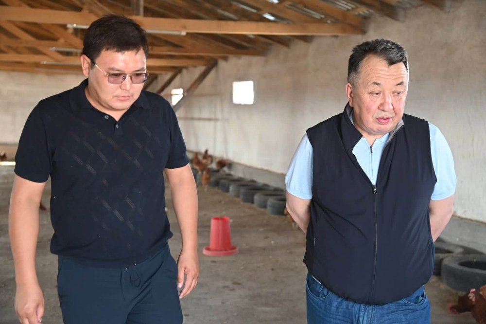 «АУЫЛ АМАНАТЫ»: ЖАРТЫТӨБЕДЕ ҚҰС ШАРУАШЫЛЫҒЫ ҚАРҚЫН АЛДЫ