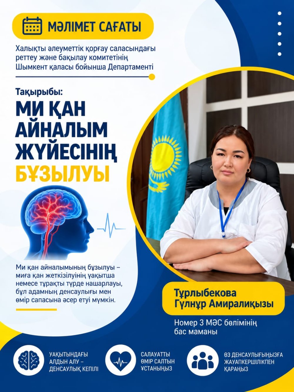Ми қан айналымының бұзылуы: себептері, түрлері және емдеу жолдары