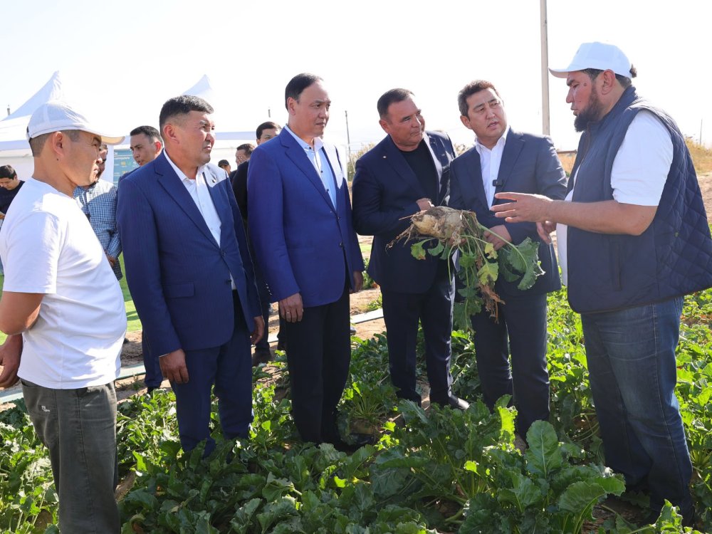 Айдарбек Сапаров Жамбыл облысындағы қант саласының дамуы және ауыл шаруашылығы өнімдерін қайта өңдеу барысымен танысты