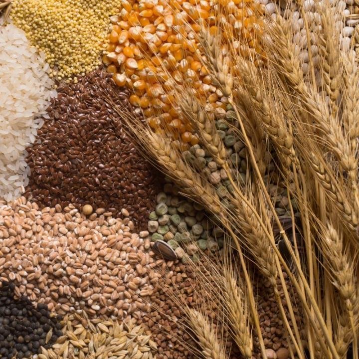 Дәнді, майлы және бұршақ дақылдарын өндірушілер үшін сауда стратегиясы бойынша ұсынымдар 21.09.2026