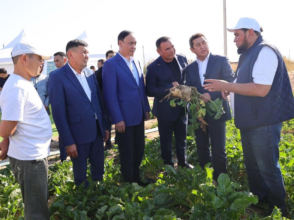 Айдарбек Сапаров Жамбыл облысындағы қант саласының дамуы және ауыл шаруашылығы өнімдерін қайта өңдеу барысымен танысты