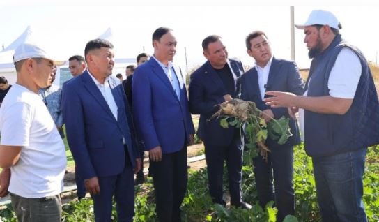 Айдарбек Сапаров Жамбыл облысындағы қант саласының дамуы және ауыл шаруашылығы өнімдерін қайта өңдеу барысымен танысты