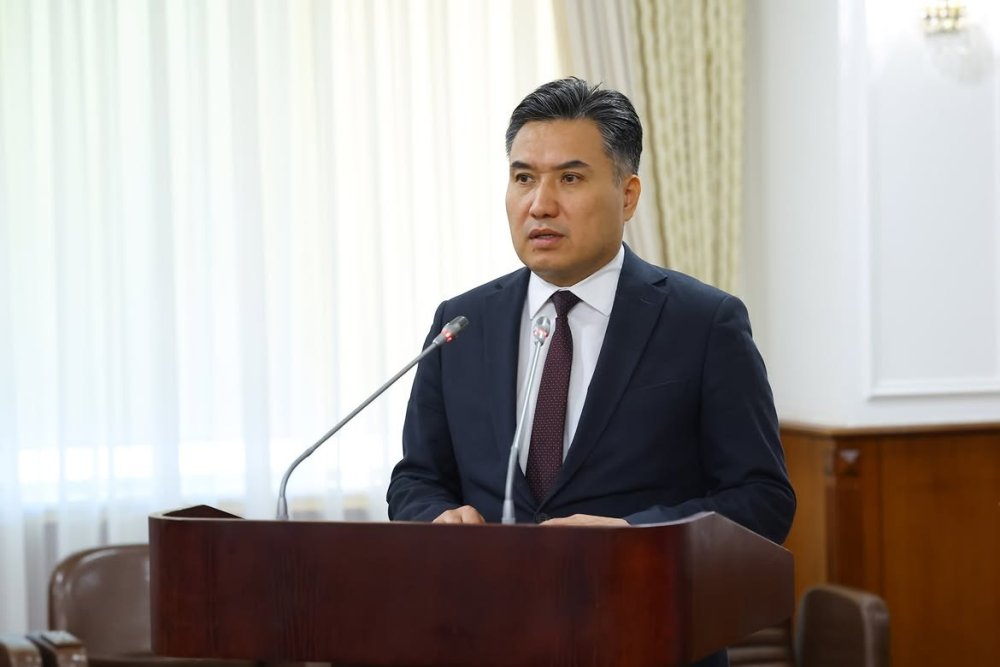 Премьер-министр әлеуметтік көмекті атаулы түрде көрсетуді қамтамасыз етуді тапсырды