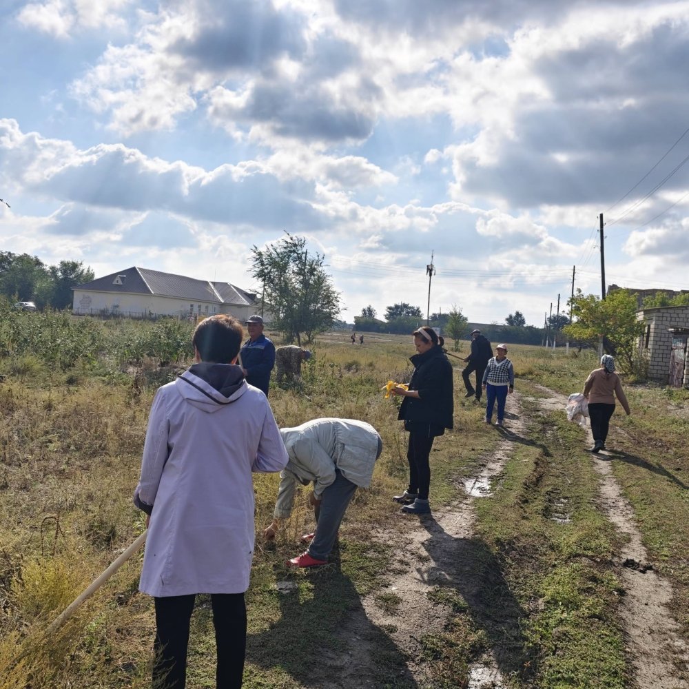«World Cleanup Day» экологиялық акциясы ұйымдастырылды