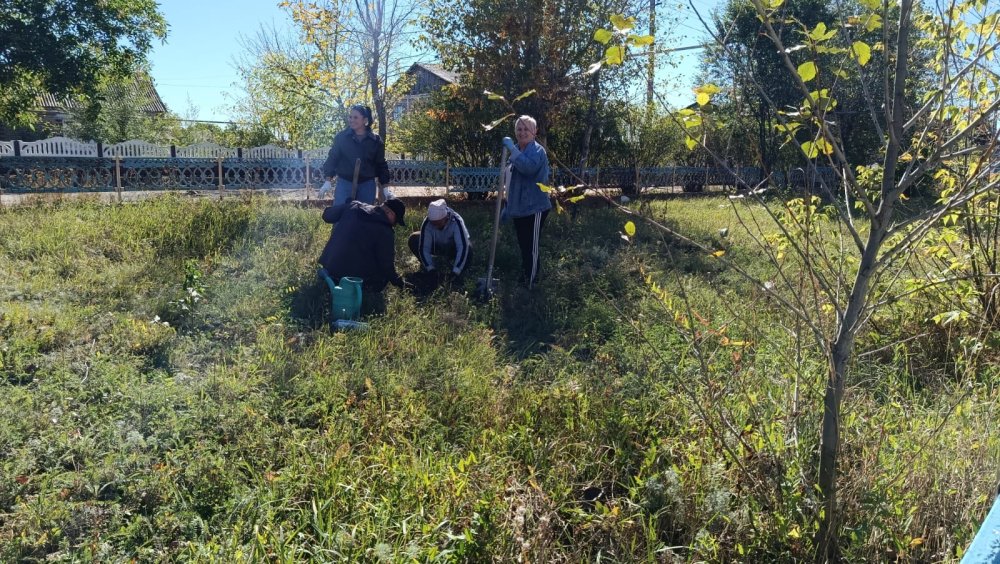 World Cleanup Day