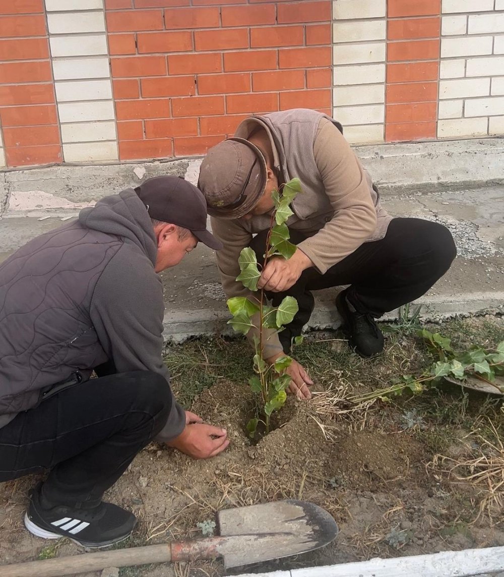 Қарағаш ауылдық округінде ағаш отырғызу күні өтті!