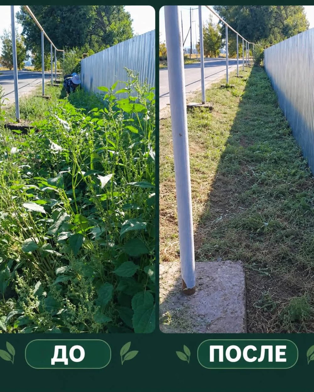 🍃 ТАЗА СӘРСЕНБІЛІК — ЕСКЕЛДІ АУЫЛДЫҚ ОКРУГІ