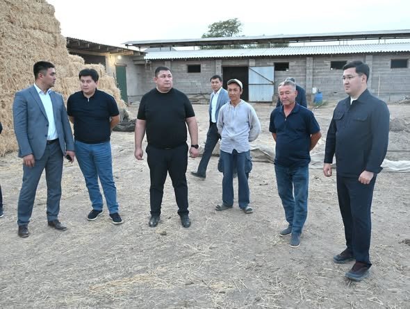 АУДАНДА ЕТ ӨНДІРІСІН АРТТЫРУ МҮМКІНДІКТЕРІ АРТЫП КЕЛЕДІ