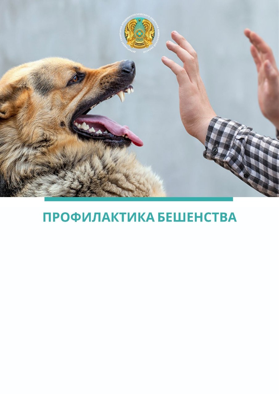 Құтыру ауруын алдын алу