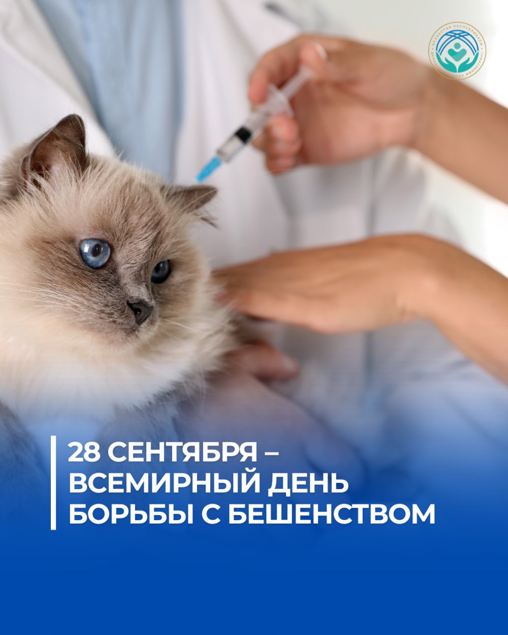 28 ҚЫРКҮЙЕК – ДҮНИЕЖҮЗІЛІК ҚҰТЫРМАҒА ҚАРСЫ КҮРЕС КҮНІ