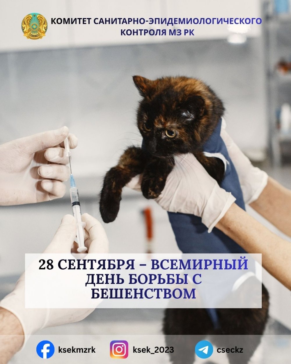 28 ҚЫРКҮЙЕК – ДҮНИЕЖҮЗІЛІК ҚҰТЫРМАҒА ҚАРСЫ КҮРЕС КҮНІ