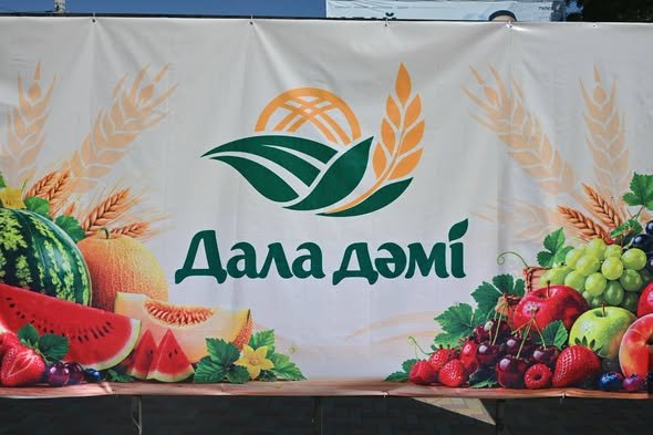 ЖЕТІСАЙДА ЖӘРМЕҢКЕ ӨТТІ