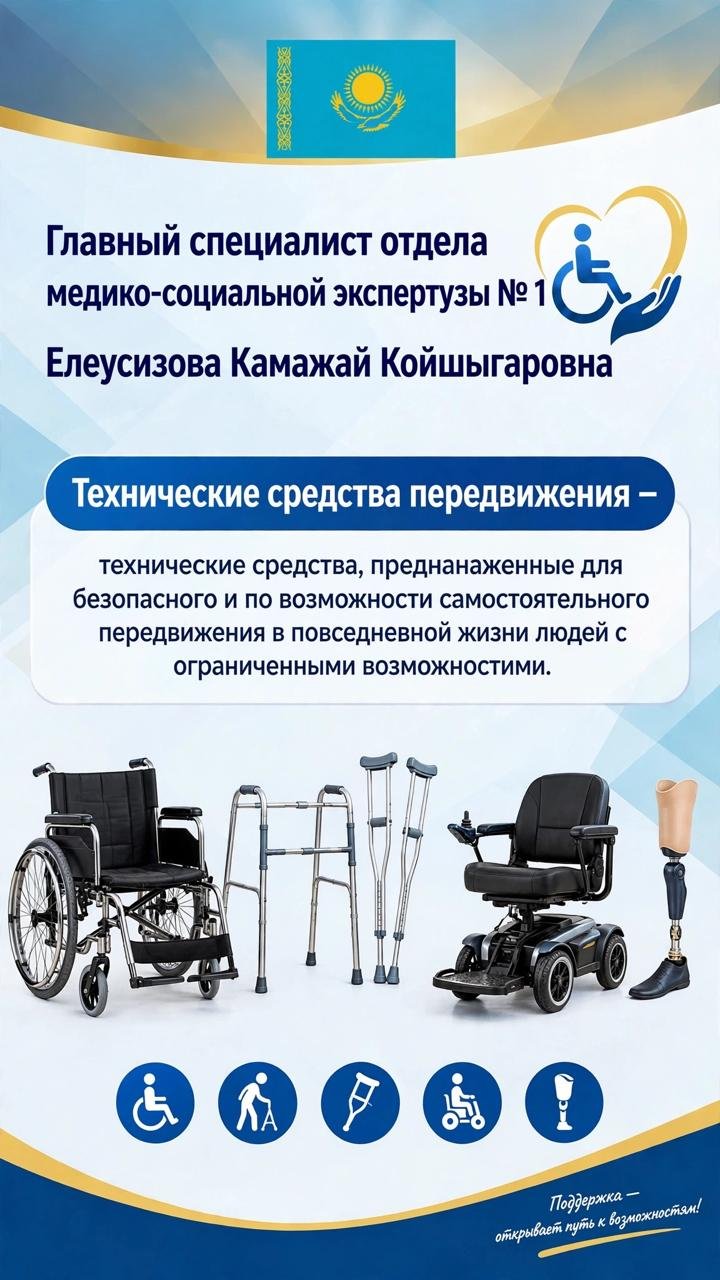 Арнайы жүріп-тұру және техникалық көмекші құралдары