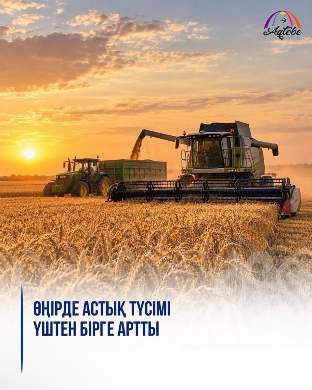 Өңірде астық түсімі үштен бірге артты