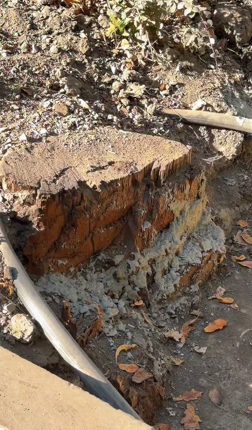 Құрманғазы көшесінде гастрокөшененің қалай жасалып жатқаны