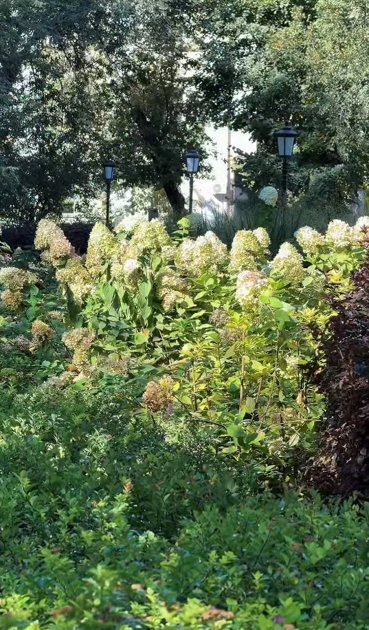 Құрманғазы көшесінде гастрокөшененің қалай жасалып жатқаны