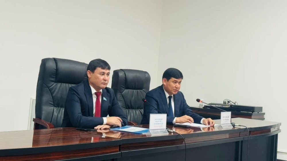 ОРДАБАСЫ АУДАНДЫҚ МӘСЛИХАТЫНЫҢ КЕЗЕКТЕН ТЫС LII СЕССИЯСЫ ӨТТІ